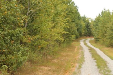 0 S Hill Rd unit 40892, Lunenburg, VA 23944 - photo 7