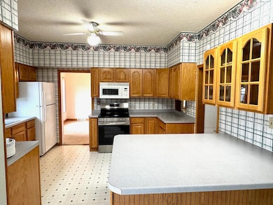 404 Main Ave N, Roseau, MN 56751 - photo 3