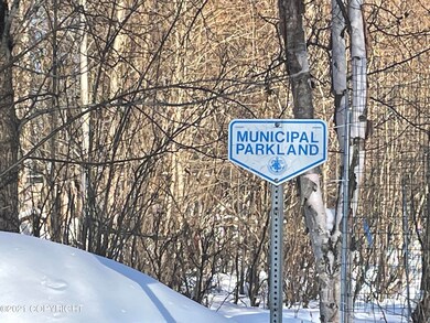 IMG-2084
