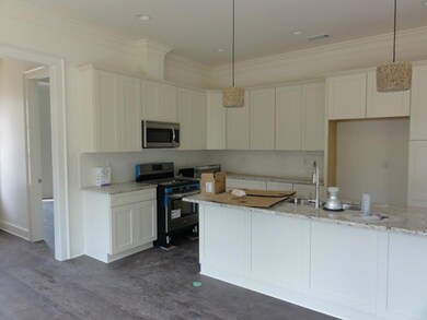 Beautiful open kitchen--still a work in progress--