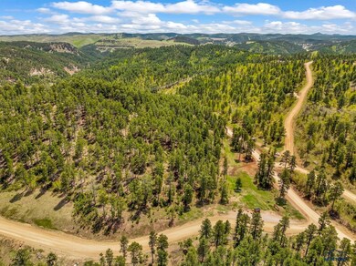 TBD Maitland Rd unit Lot 79, Lead, SD 57754 - photo 4