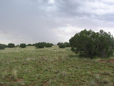 Simon 40 Acres 003