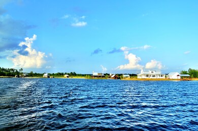 photo 1 (5)