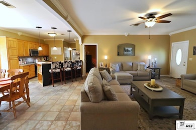 61 Andy Allen Rd, Rayville, LA 71269 - photo 4