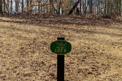 Lot 6.