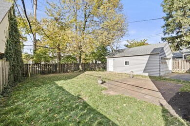 8_backyard