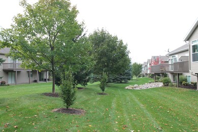 IMG_9608 (2)