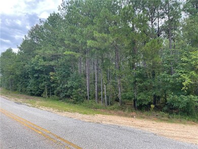 0 Lee Road 333 unit 153586, Salem, AL 36874 - photo 3