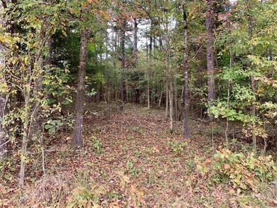 2.5 Acres Greene 140, Paragould, AR 72450 - photo 3