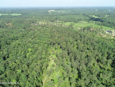 DJI_0151