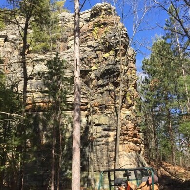 N8573 County Road H, Camp Douglas, WI 54618 - photo 5