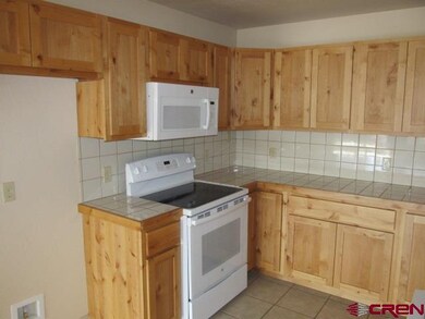 0 NE Knottypine Ct unit 768476, Cedaredge, CO 81413 - photo 5