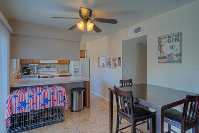 1017 W Laguna Dr Tempe AZ-large-006-21-D