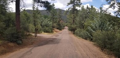 Cypress Street