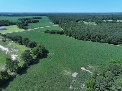 TBD N Carolina 71, Red Springs, NC 28377 - photo 4