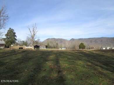 503 Emory Rd, Blaine, TN 37709 - photo 5