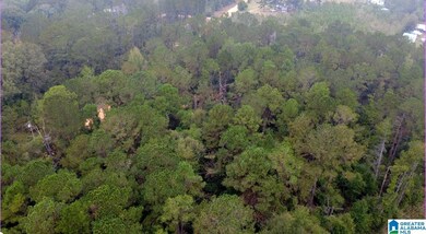 0 Opp Hwy, Dozier, AL 36028 - photo 4