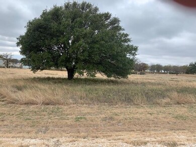 216 Maverick Ct, Granbury, TX 76049 - photo 3