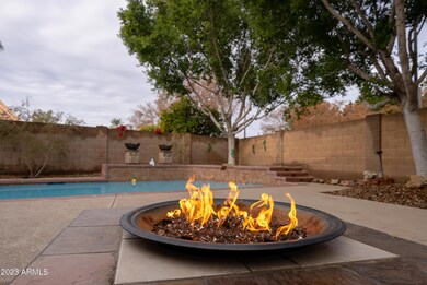 Firepit DSC00498