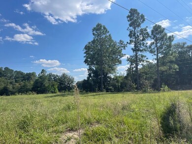 536 Lundy Rd, Sylvester, GA 31791 - photo 5