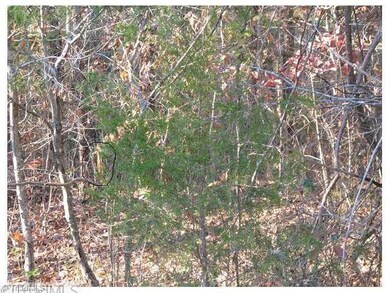 4018,4026 Fairway Dr, Greensboro, NC 27407 - photo 5