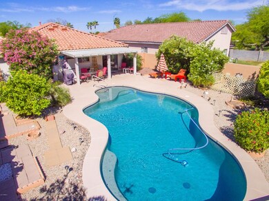 20 Back Yard
