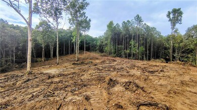 View of the Middle House Built Site with some beautiful trees intact and lots of room for orchards