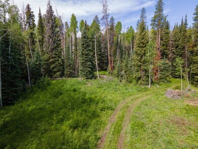 0 Springboard Colt Trail unit 8259371, Oak Creek, CO 80467 - photo 6