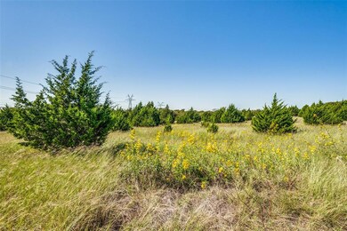 TBD Wheelis Rd, Wylie, TX 75098 - photo 4