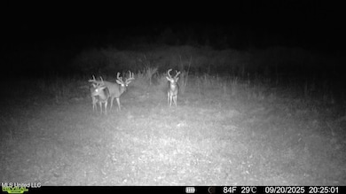 016579000831631-100-3-09202025202501-SYF