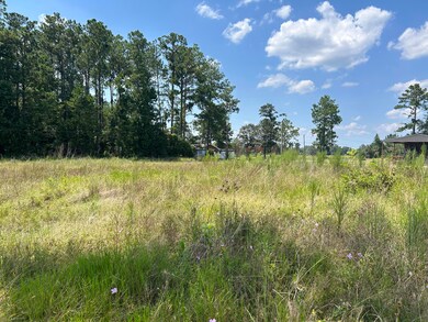 22229535-7757-4908-B021-54350E6E87F2