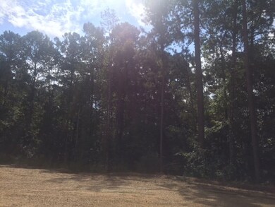 ... Wardlaw Rd, McComb, MS 39648 - photo 6