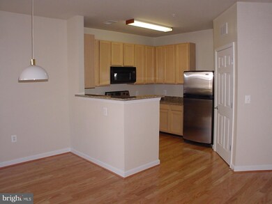 42432 Hollyhock Terrace unit 102, Ashburn, VA 20148 - photo 5