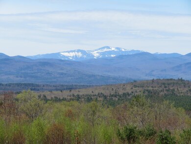 LamphierLand 002