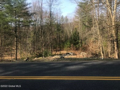 0 Antone Mountain Rd unit 202215598, Hadley, NY 12835 - photo 4