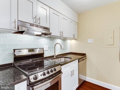 Encore of McLean unit 316, McLean, VA 22102 - photo 4