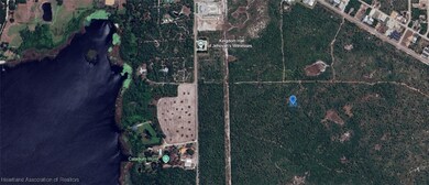 305 Dolly Ln, Lake Placid, FL 33852 - photo 5