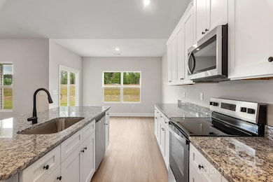 4131 Bolo Dr, Charlotte, NC 28215 - photo 6