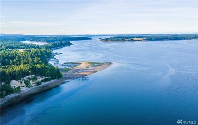 16539 94th St SW, Longbranch, WA 98351 - photo 4