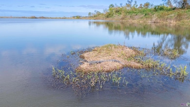 TBD La 1011, Napoleonville, LA 70390 - photo 5