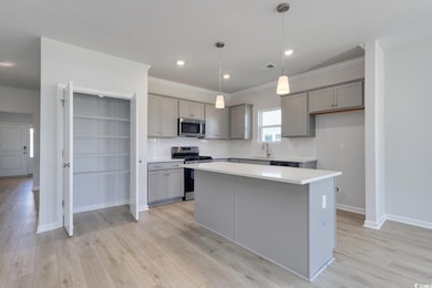 331 Garden Grove St, Conway, SC 29526 - photo 4