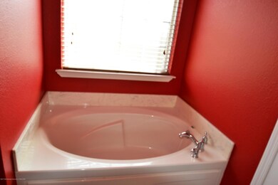 Master jacuzzi tub