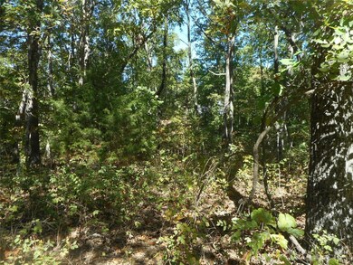 232 Buzzard Rock Rd, Farmington, MO 63640 - photo 5