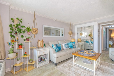 Living area with crown molding, a textured ceiling