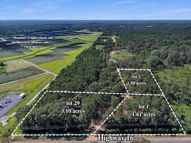 Lot 2 Hwy 16 None, Franklinton, LA 70438 - photo 3