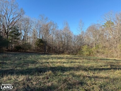 8951 County Rd 11, Florence, AL 35633 - photo 7