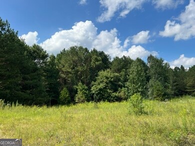 0 Lipham Rd unit 10505011, Franklin, GA 30217 - photo 4