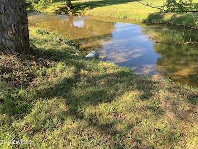 2824 Willa View Dr, Pigeon Forge, TN 37863 - photo 6