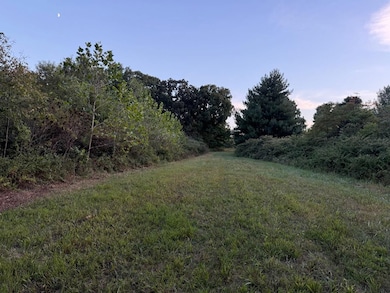 5238 Woodhaven Rd, Pinckneyville, IL 62274 - photo 7