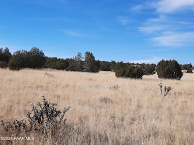 58840 N Tambor Rd, Seligman, AZ 86337 - photo 2